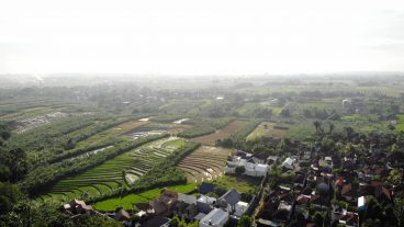 Aerial Footage of Villas in Canggu, Bali