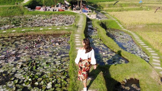 Woman Walking Near Rice Fields in Bali, Indonesia