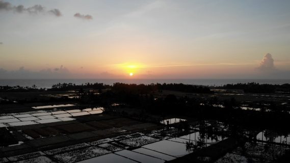 Sun Setting in the Rice Fields - Bali, Indonesia
