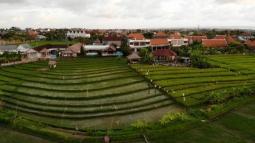 Rice Fields and Villas in Kerobokan, Bali